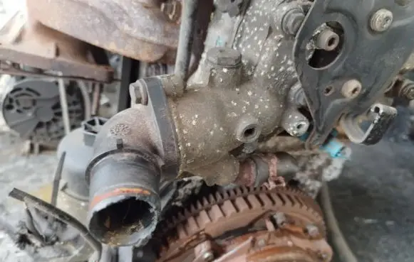 Citroen C2 Engine coolant pipe/hose