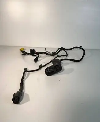 Audi A4 S4 B7 8E 8H Front door wiring loom 8E1971029AF