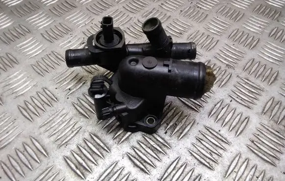 Thermostat/thermostat housing