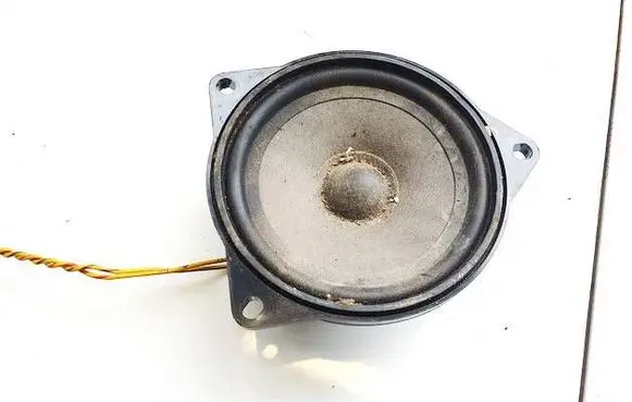 BMW X1 E84 Front door speaker 6513914149401