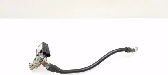 Mercedes-Benz C W204 Negative earth cable (battery) A1665420218