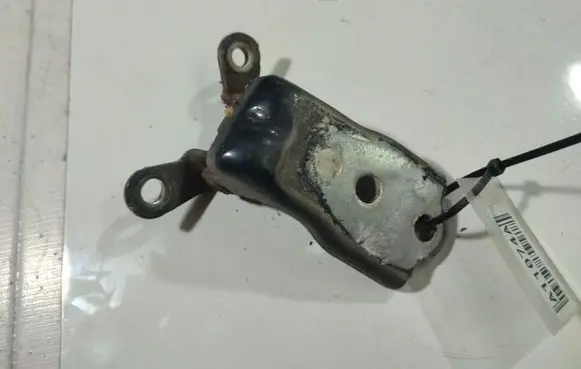 Peugeot Expert Rear door lower hinge 