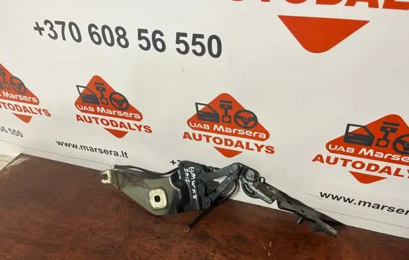 BMW X5 E70 Engine bonnet/hood hinges 7208628