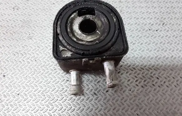 Peugeot 307 Oil filter mounting bracket 9637319180