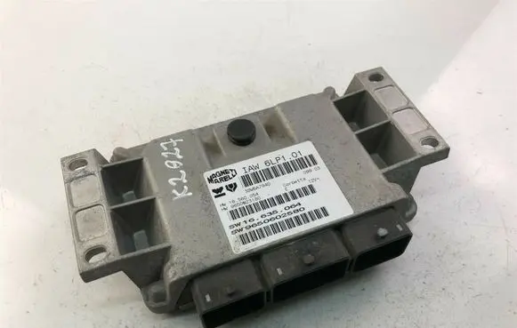 Peugeot 307 Other control units/modules 9650623180 K2027