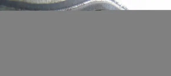 Engine mount vacuum valve