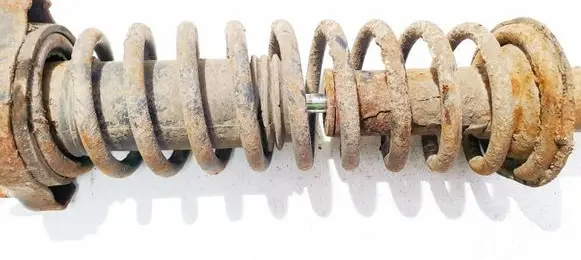 Rear coil spring
