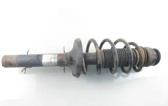 Seat Toledo II (1M) Front shock absorber with coil spring 315087