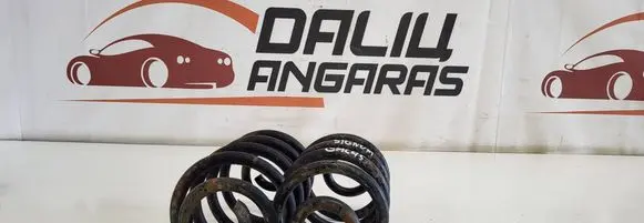 Rear coil spring