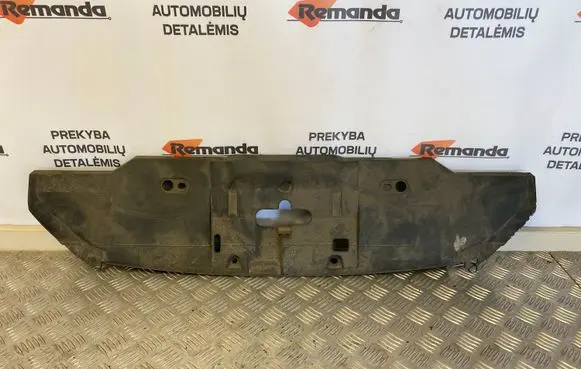 Engine bonnet/hood lock trim molding