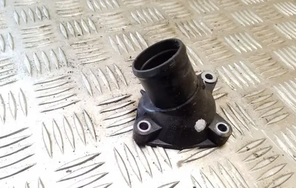 Thermostat/thermostat housing