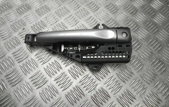 Renault Zoe Front door exterior handle 806079784R
