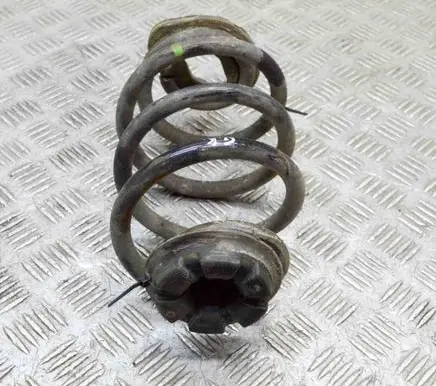 Nissan Leaf II (ZE1) Rear coil spring 550205SJ0A