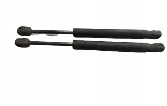 Tailgate/trunk strut/damper