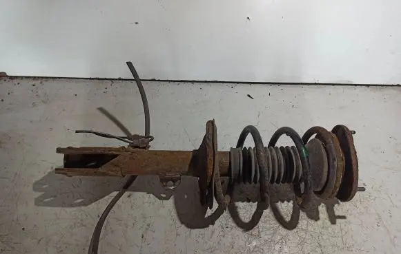 Front shock absorber with coil spring