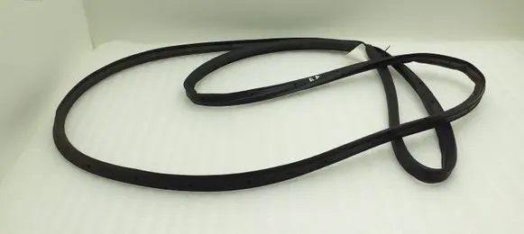 Citroen C3 Aircross Rubber seal front door (on door) 