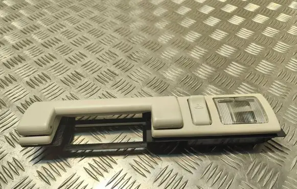 Chrysler Pacifica Rear interior roof grab handle 