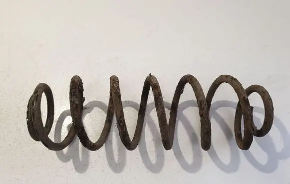 Rear coil spring