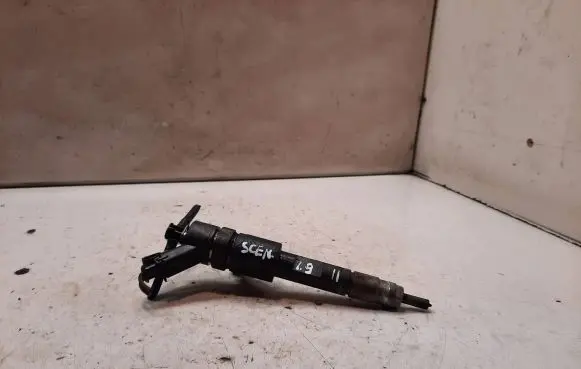 Renault Scenic II - Grand scenic II Fuel injector 0445110280 H82606383