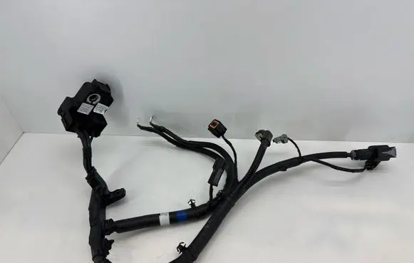 KIA Rio Positive cable (battery) 91850