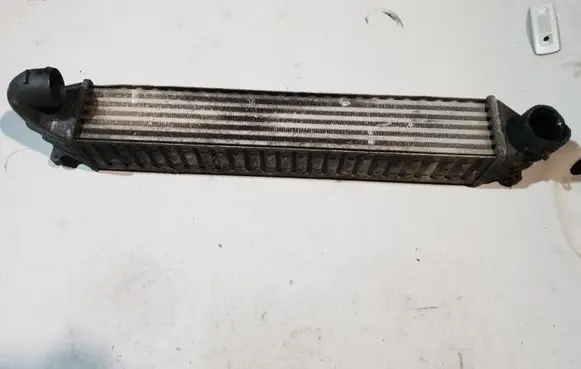 Volkswagen Sharan Intercooler radiator 7M3145805