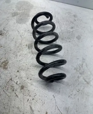 Rear coil spring