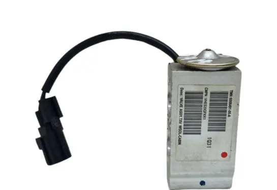 Tesla Model S Air conditioning (A/C) expansion valve 600848100A
