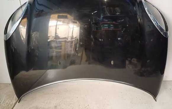 Mini Paceman (R61) Engine bonnet/hood