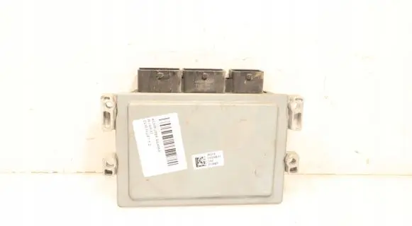 Engine control unit/module ECU