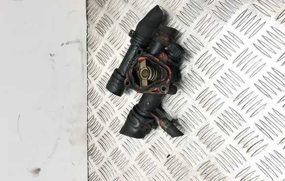 Thermostat/thermostat housing
