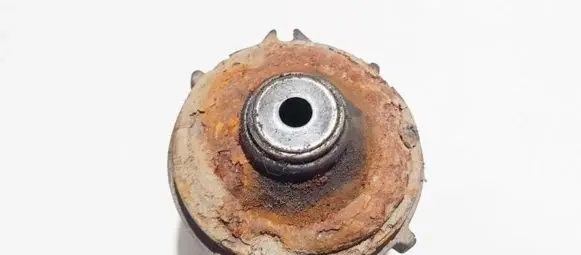 Coil spring mount