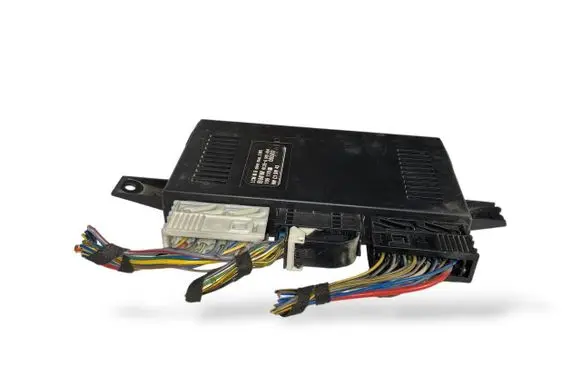 BMW 5 E39 Light module LCM 6919454 61356919454