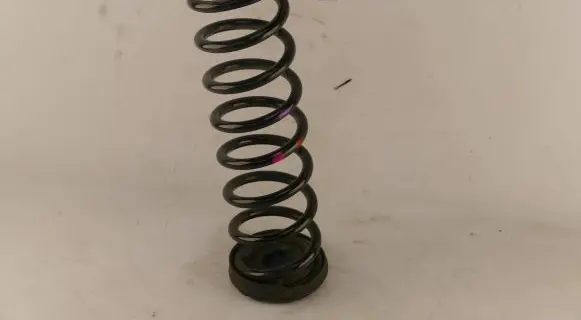 Ford Kuga II Rear coil spring
