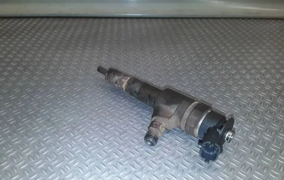 Citroen Nemo Fuel injector 0445110252