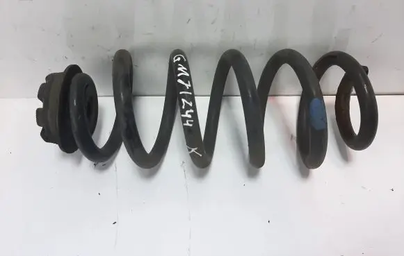 Renault Kadjar Rear coil spring