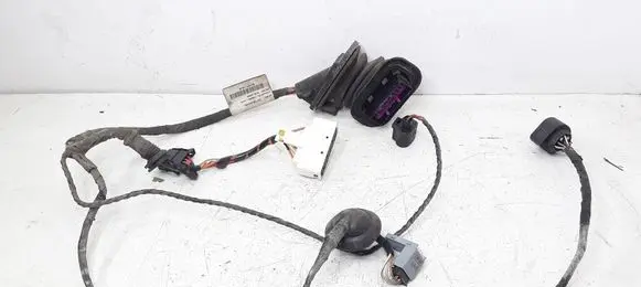 Rear door wiring loom