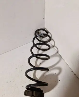 Rear coil spring