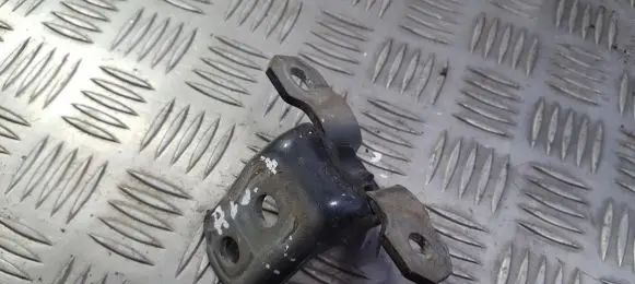 Renault Laguna II Rear door lower hinge
