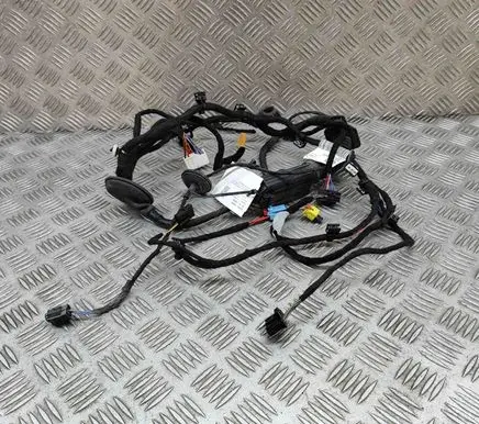 Skoda Enyaq iV Front door wiring loom 5LB971120AP