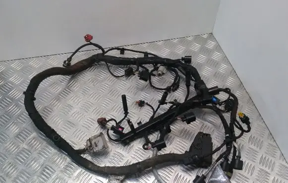 Engine installation wiring loom