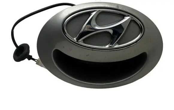 Hyundai i20 (PB PBT) Tailgate opening switch 873711J600