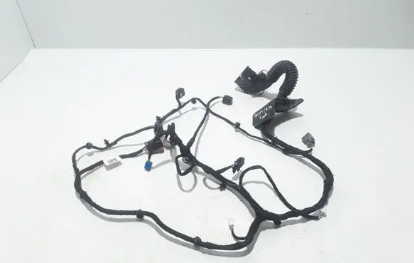Chrysler Pacifica Other wiring loom 68445789AA