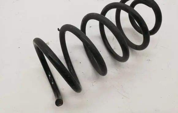 Hyundai Santa Fe Rear coil spring
