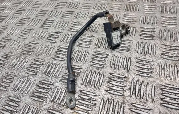Negative earth cable (battery)