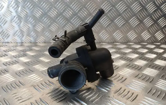 Thermostat/thermostat housing