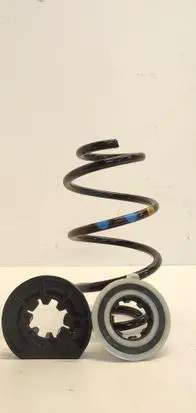 Rear coil spring