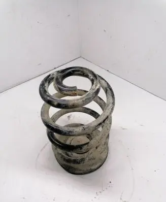 Rear coil spring