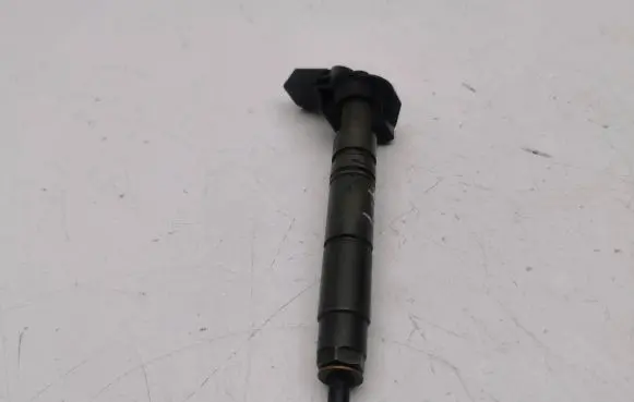 Jeep Grand Cherokee (WK) Fuel injector A6420700587 0445115027