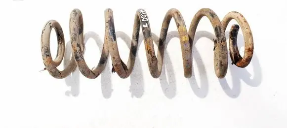 Seat Leon (1P) Rear coil spring 