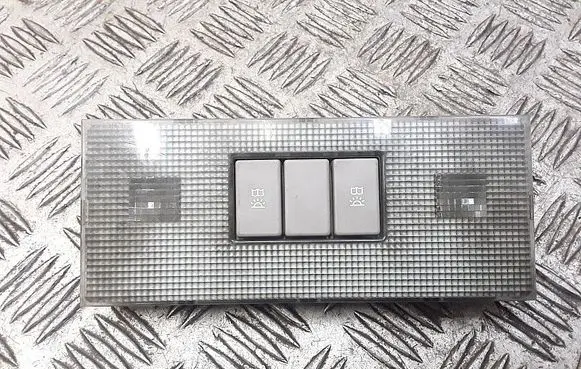 Opel Signum Headlining lighting console trim 024439391 273893313
